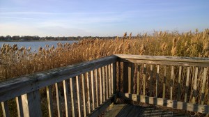 audubon-boardwalk-Warren-RI