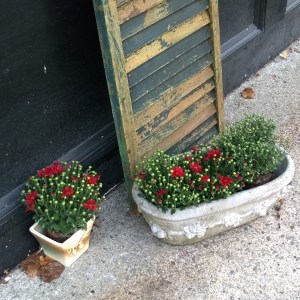 flower-pots-in-fall