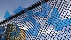 butterfly-art-fort-point