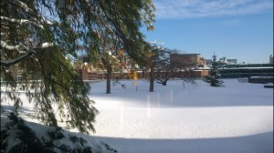 view-of-Seaport-Boston