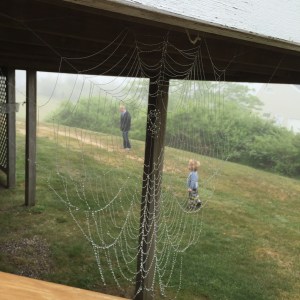 cobweb-view-of-Mormor-and-G