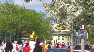 flowering-Dorchester