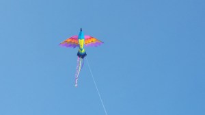 060715-kite-above-new-shoreham
