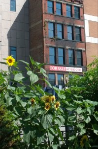 071615-for-sale-Dewey-Square-2