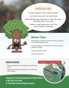 071115-Arlington-Tree-Watering