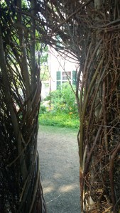 071215-lilies-and-sticks