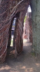 071215-thru-the-sticks-darkly