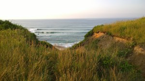looking-down-the-bluffs