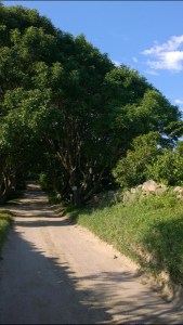 080115-roads-traveled-days-gone-by