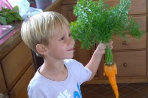 082315-one-big-carrot