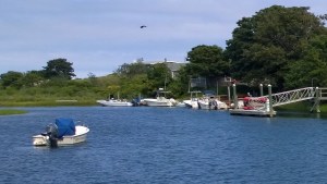 082315-sheltered-harbor