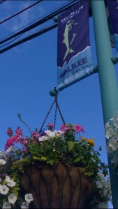 2115-Galilee-for-fishing