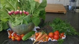 090515-Sandy-K-veggies