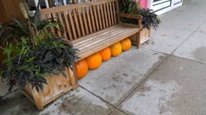 091215-changing-seasons