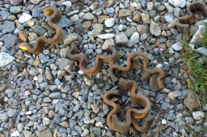 092315-strange-RR-pasta