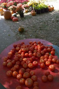 092615-market-Providence