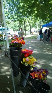 092615-RI-farmers-market