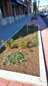 101715-widening-the-walk