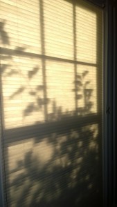 101715-thru-the-shade