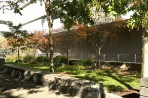 110115-Paul-is-poet-of-lanscaping