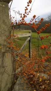 110715-bittersweet-North-Bridge