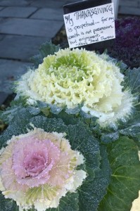 112915-thoreau-quote-barrow-bookstore