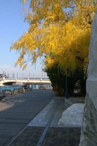 121115-childrens-museum-colors