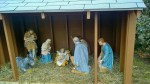 122315-creche-at-Holy-Family