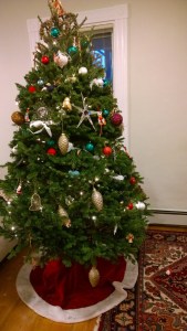 122515-tree-in-Arlington