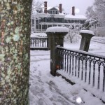 020516-6tag-lichen-and-snow