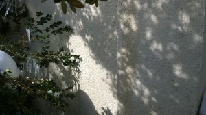 021316-ice-and-shadows