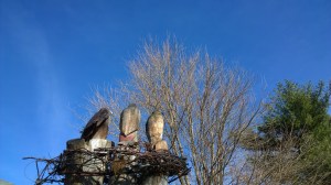 031216-carved-eagles-arlington