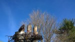 031216-carved-eagles-arlington