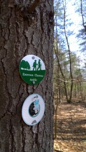 033116-trail-in-woods