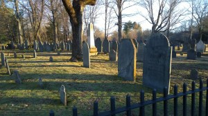 WP_20160312_06_42_36_Pro