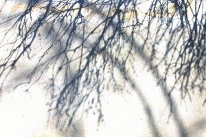 041016-shadows-on-sidewalk