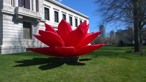 041416-Museum-Fine-Arts-lotus