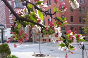 042616-1821-universalist-church-providence