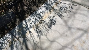 043016-pavement-shadows