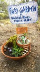 050616-fairy-garden-Nashoba-Brooks