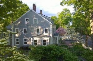 051916-neighbor-flowering-trees