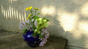 052016-lilacs-dogwood-shadows