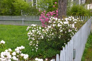 WP_20160505_10_01_32_Pro