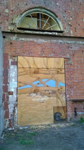 061516-is-it-a-muskrat