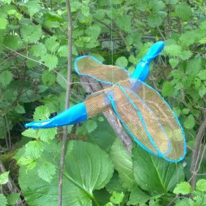 6tag-060316-dragonfly