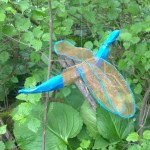 6tag-060316-dragonfly