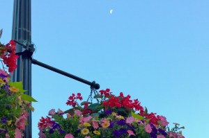 072616-moon-and-hanging-baskets