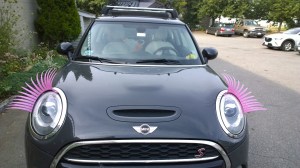 072816-car-with-pink-eyelashes