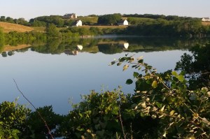 080416-Fresh-Pond-reflections
