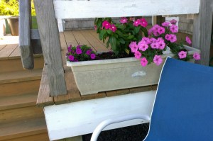 080416-outdoor-shower-impatiens